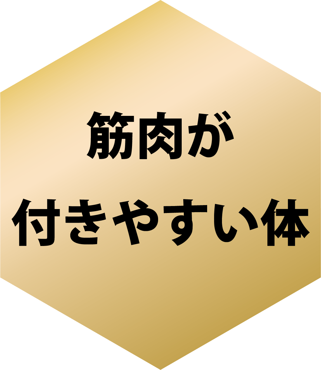 筋肉がつきやすい体